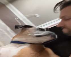 Anthony also has a furry member in his home.